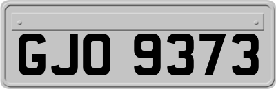GJO9373