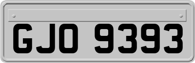 GJO9393