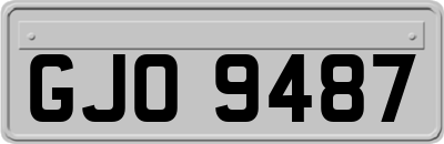 GJO9487