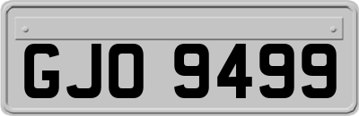GJO9499