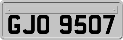 GJO9507