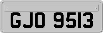 GJO9513
