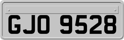 GJO9528