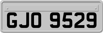 GJO9529