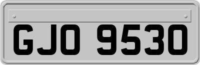 GJO9530