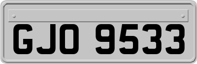 GJO9533