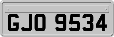 GJO9534