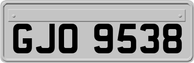 GJO9538