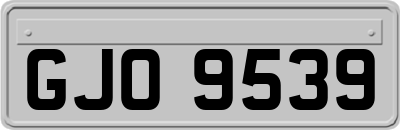 GJO9539