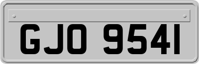 GJO9541