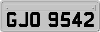 GJO9542