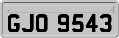GJO9543