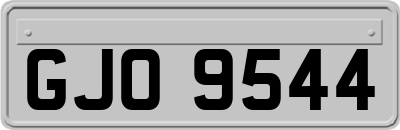 GJO9544