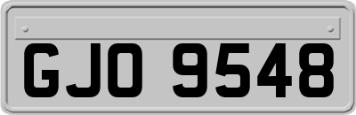 GJO9548