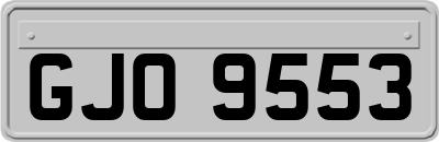 GJO9553