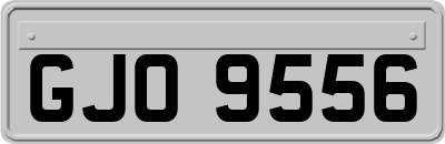 GJO9556