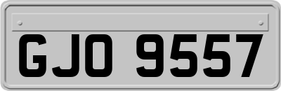 GJO9557