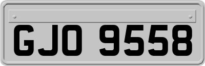 GJO9558