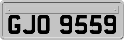 GJO9559