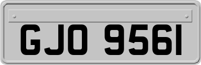 GJO9561