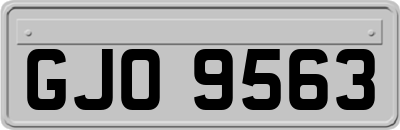 GJO9563