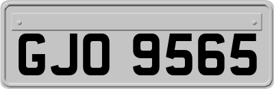 GJO9565