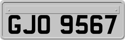 GJO9567