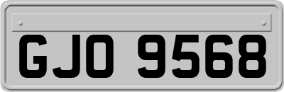 GJO9568
