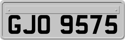 GJO9575