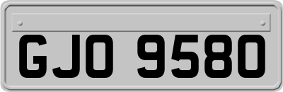 GJO9580