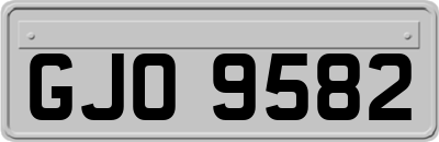 GJO9582