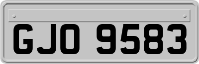 GJO9583