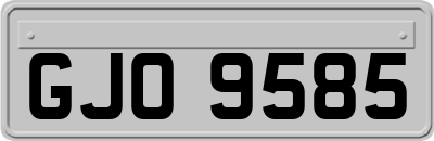 GJO9585