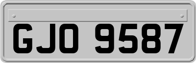 GJO9587
