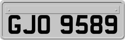 GJO9589