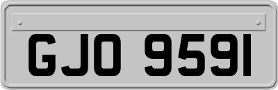 GJO9591