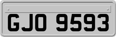 GJO9593