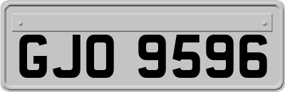 GJO9596