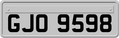 GJO9598