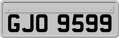 GJO9599