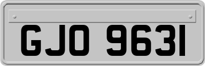 GJO9631