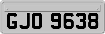 GJO9638