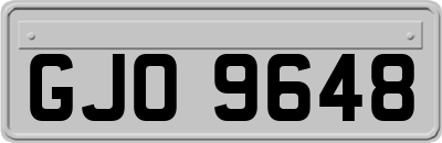 GJO9648