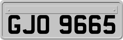 GJO9665