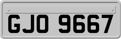GJO9667