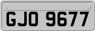 GJO9677
