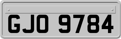 GJO9784