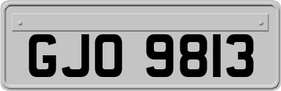 GJO9813