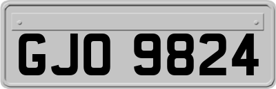 GJO9824