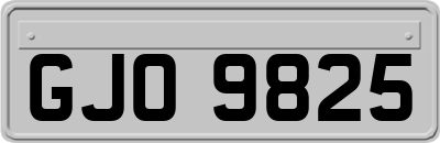 GJO9825